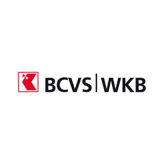 Bcvs Webapp