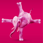 p.i.n.k. elefant Logo talendo